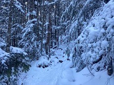 【贈答・プレゼントにも。こだわり高級無添加パスタソース専門店・おとりよせのナチュラルグレースメルカートのブログ】八ヶ岳の天狗岳に登ってきました。雪で登りやすい。